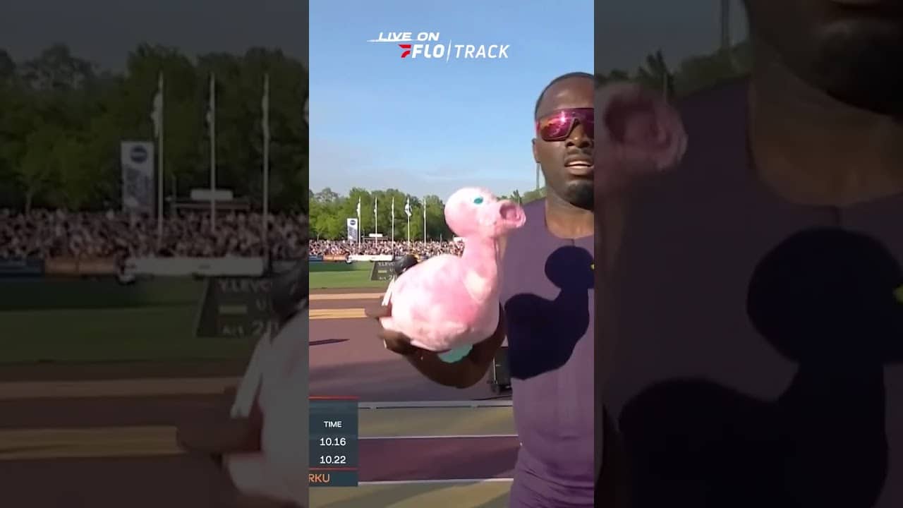 Is It A Duck? Is It A Pig? We Don't Know, But It Is Mildly Terrifying 🫣