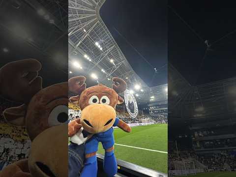 Hoffi auf Länderspielreise 🫎🇩🇪 #Hoffenheim #DFBTeam #Deutschland #Luxemburg