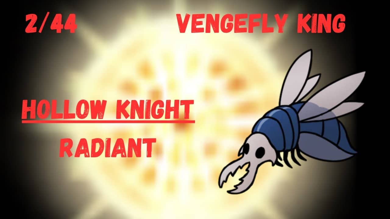 Hollow Knight | Vengefly King | Radiant