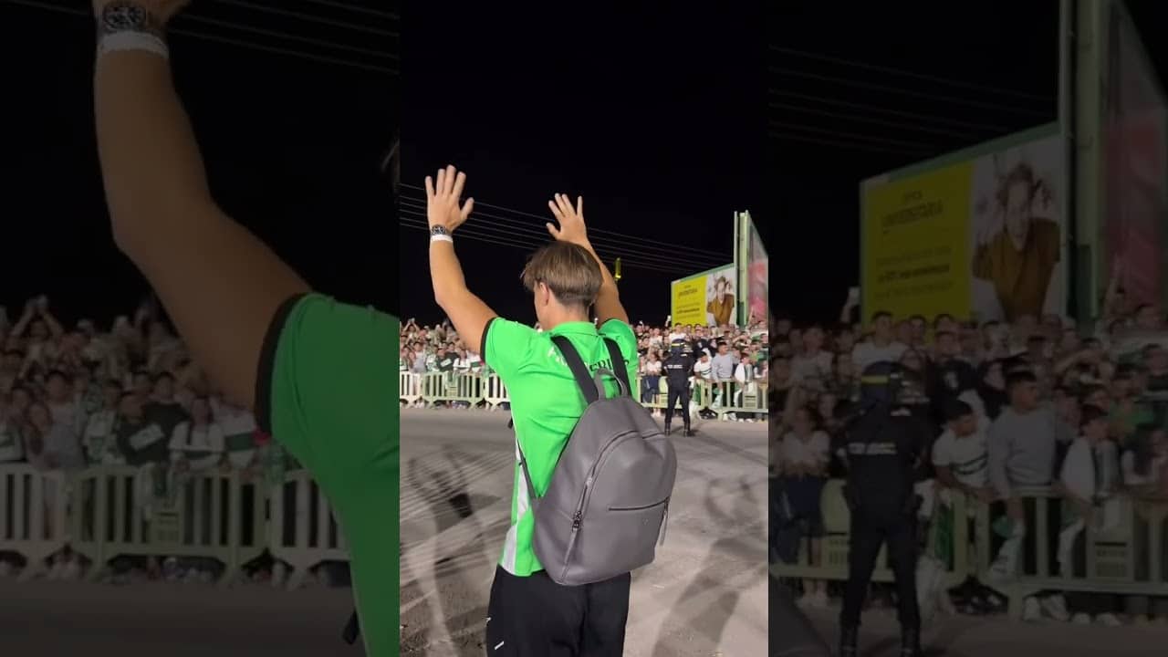 DAVID AFFENGRUBER 💚