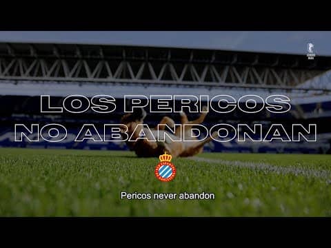 Vuelve la campaña “Los Pericos No Abandonan” 🐾