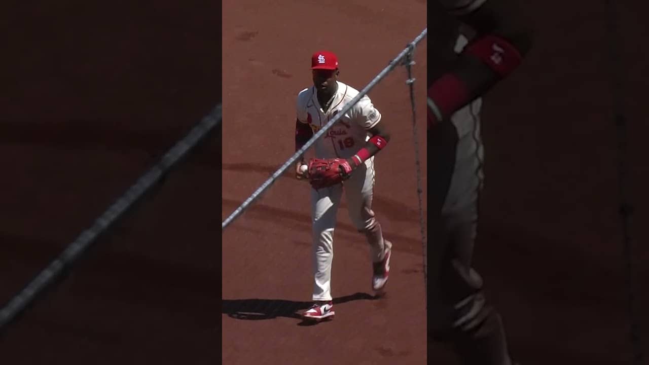 Jordan Walker went a LONG way to make this catch in foul territory 😮‍💨