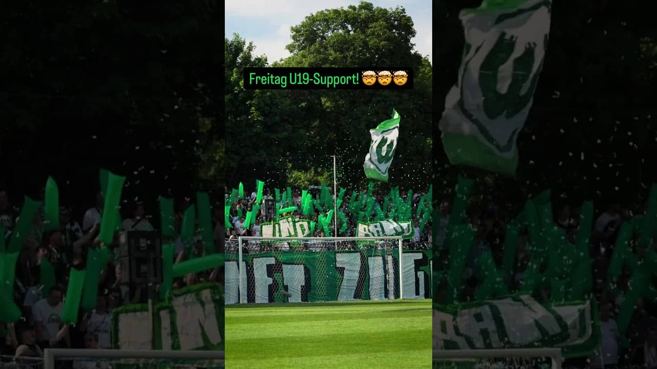 Nur der VfL 💚🤍