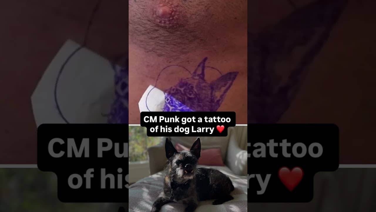 What a beautiful tribute 🥹 (via @maverink.studio/IG @tamgallardo.tattoo/IG @cmpunk/IG)
