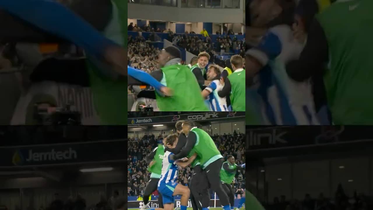 Brighton's squad bond on show in Chelsea victory #brightonandhovealbion