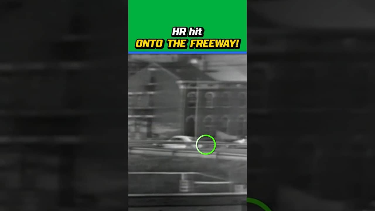 When you see a HR ball coming for your car ... 😳