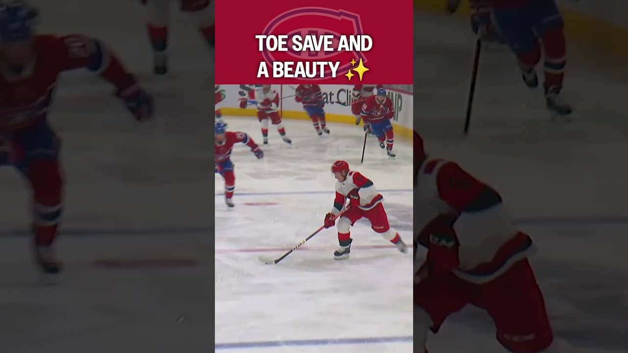 TOE. SAVE. DOBES.🦶