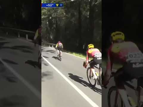 Alex Aranburu and Tobias Johannessen are pushing the limits at the front of Stage 4 of Itzulia!