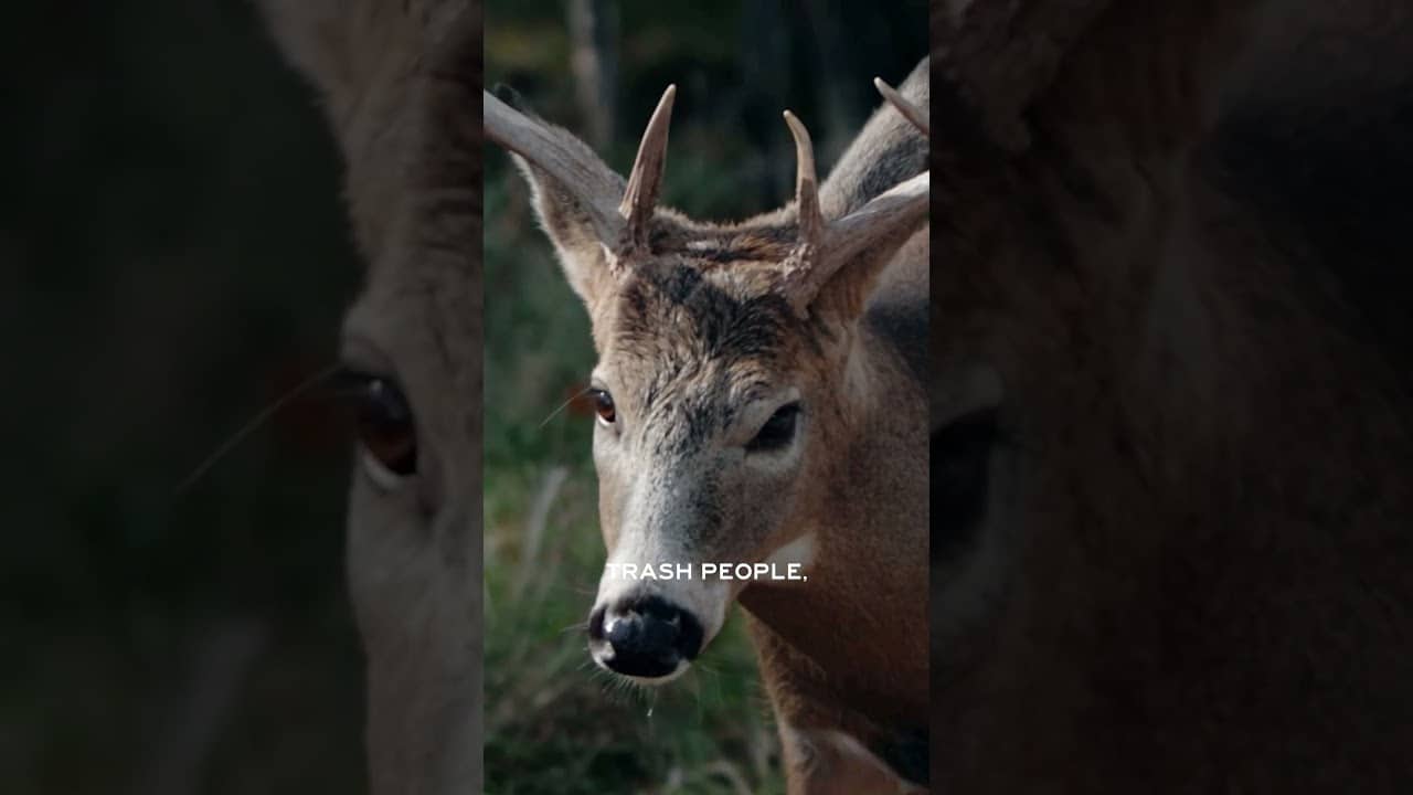 Don't go over your tags