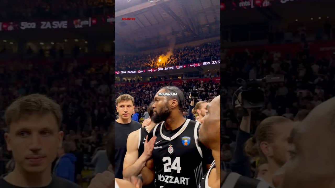 PARTIZAN, EL MAYOR RETO DE PEÑARROYA #euroliga #partizan #baloncesto