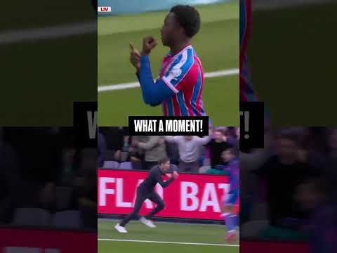Crystal Palace bedlam 😂