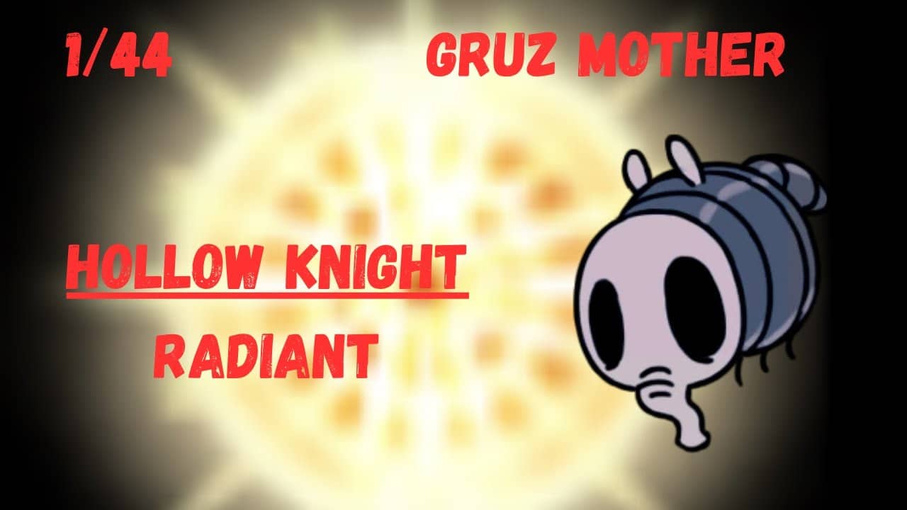 Hollow Knight | Gruz Mother | Radiant