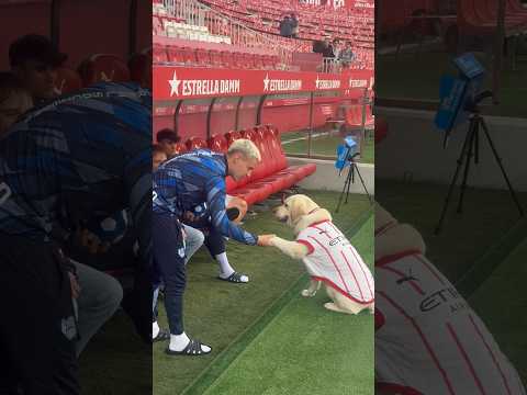 🐶 Una benvinguda molt especial, encantats de tornar-te a veure Canya! 🤗