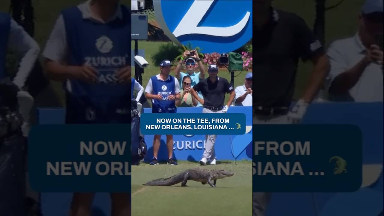 ⚠️ Gator crossing in the Bayou ⚠️