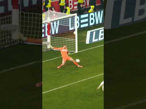 𝐃𝐞𝐧𝐢𝐳 𝐡𝐚𝐭 𝐰𝐢𝐞𝐝𝐞𝐫 𝐳𝐮𝐠𝐞𝐬𝐜𝐡𝐧𝐚𝐩𝐩𝐭 🐊