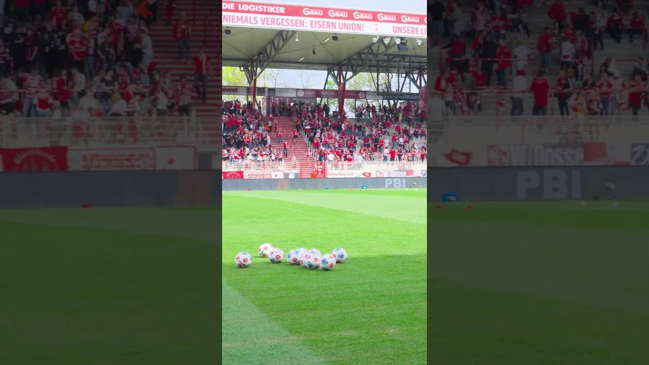 Ordnung muss sein 😅 #vflwolfsburg