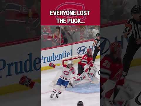 It Fell Right Into the Net!