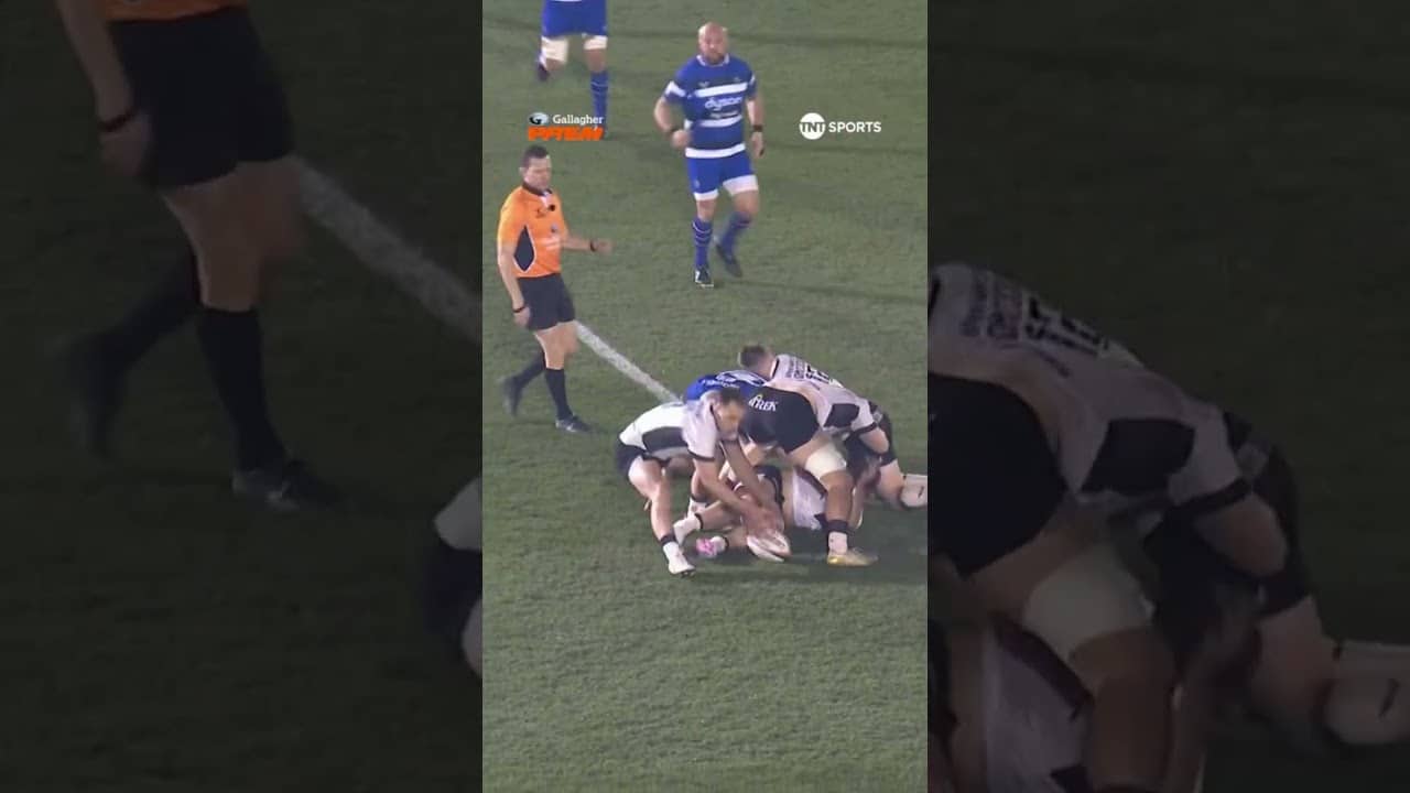 Beautiful ball playing!