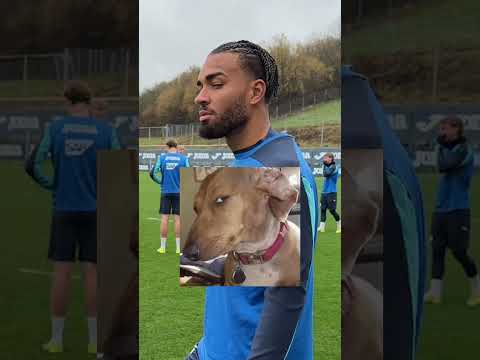 Was ist dein Lieblings-Meme?  #hoffenheim  #tsg #meme