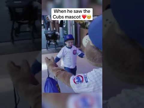 Alex Bregman's son's reaction to meeting Clark the Cub 🥰 (via @Cubs/TT)