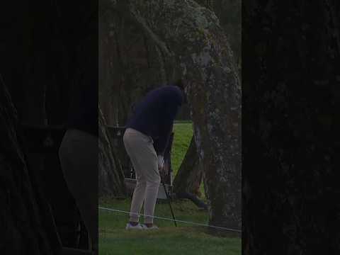 Akshay punches out of the WOODS🌳