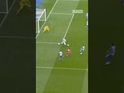 SOLID Wall | Dunk And van Hecke 🧱 #lewisdunk #vanhecke #brightonandhovealbion #defence