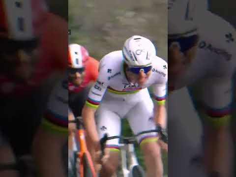 When Tadej Pogacar and UAE - Team Emirates rocketed up the Cipressa 🤯🚀