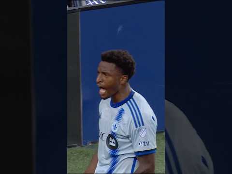 🔥 JUST ENTERED SEALY SEASON