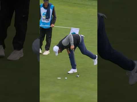 'Did you see THAT?' 😲