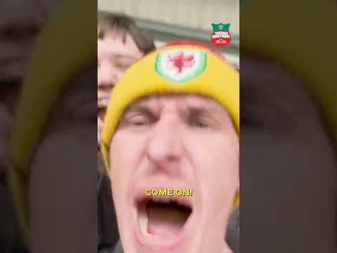 WREXHAM’S 2024 RECAP #wrexham #wrexhamafc