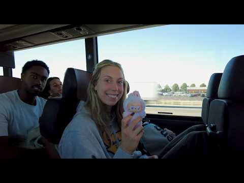 SWIMMING WORLD CUP 2025  🚌 ON TOUR  | Coming This NOVEMBER