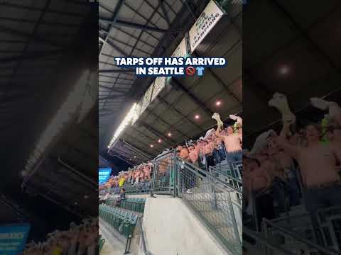 don't need a tarp when you've got a roof