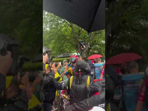 These Lidl-Trek celebrations after Jonathan Milan tightened his grip on the green jersey 💚 #cycling