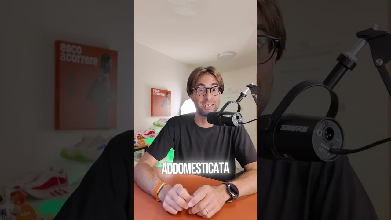 Le gare di corsa più belle al mondo.... girone B