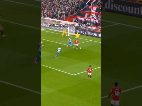 Matheus Cunha PUTTING ON A SHOW 🇧🇷