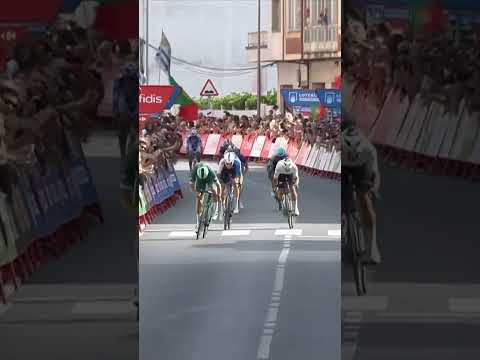 Panache from Pedersen 😮‍💨