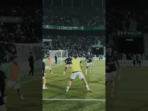 Vlog | Así vivió Affengruber su primer Elche-Real Madrid 🎥💚