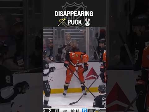 Didn’t Know This Was a Magic Show 🎩🪄