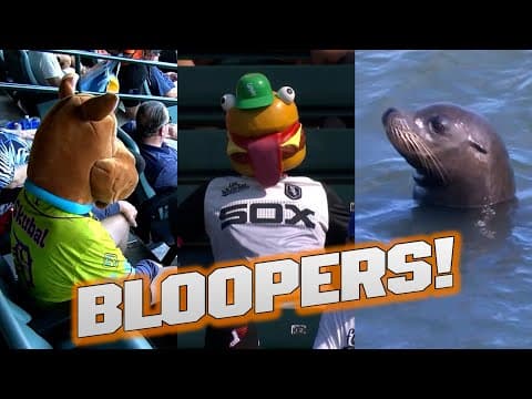 Scooby Doo, a burger man and a seal walk into a ballpark... | Oddities and bloopers of September!