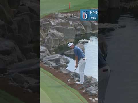 ROCK-n-roll birdie for English