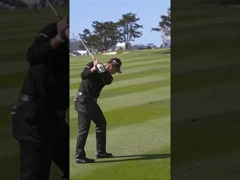 'That's just dead fat'😡