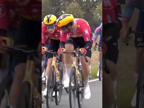 Crosswind action! 🫨 No easy days in the peloton as the wind shreds the Münsterland Giro to pieces 🧩