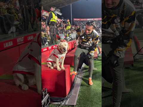 🤝 Canya meets Álvaro Carreras