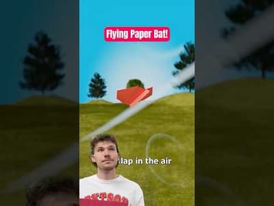 Paper Bat Airplane!