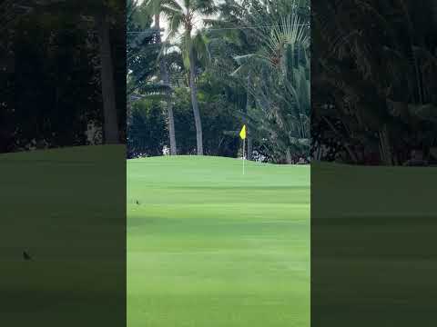 Down the middle, throw a dart…drain the putt. 😅 Collin is prepping to start his season in Hawaii.