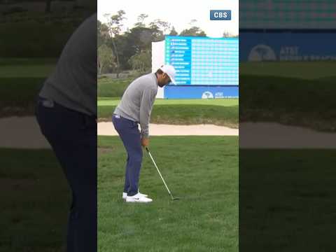 Scottie bogey free into the♣️🏠