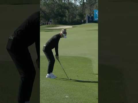 Nelly catches the lip⛳