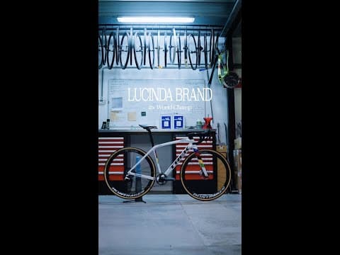 Rainbow Trek Boone | Lucinda Brand | 2× World Champ 🏆🏆