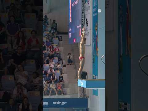 Yang Jian’s Most Stunning Dives at the World Championships #Dive #TopDives