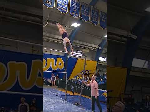 Incredible stuff on Bars 🌟 #clemson #collegegymnastics #accgymnastics #gymnastics #gotigers